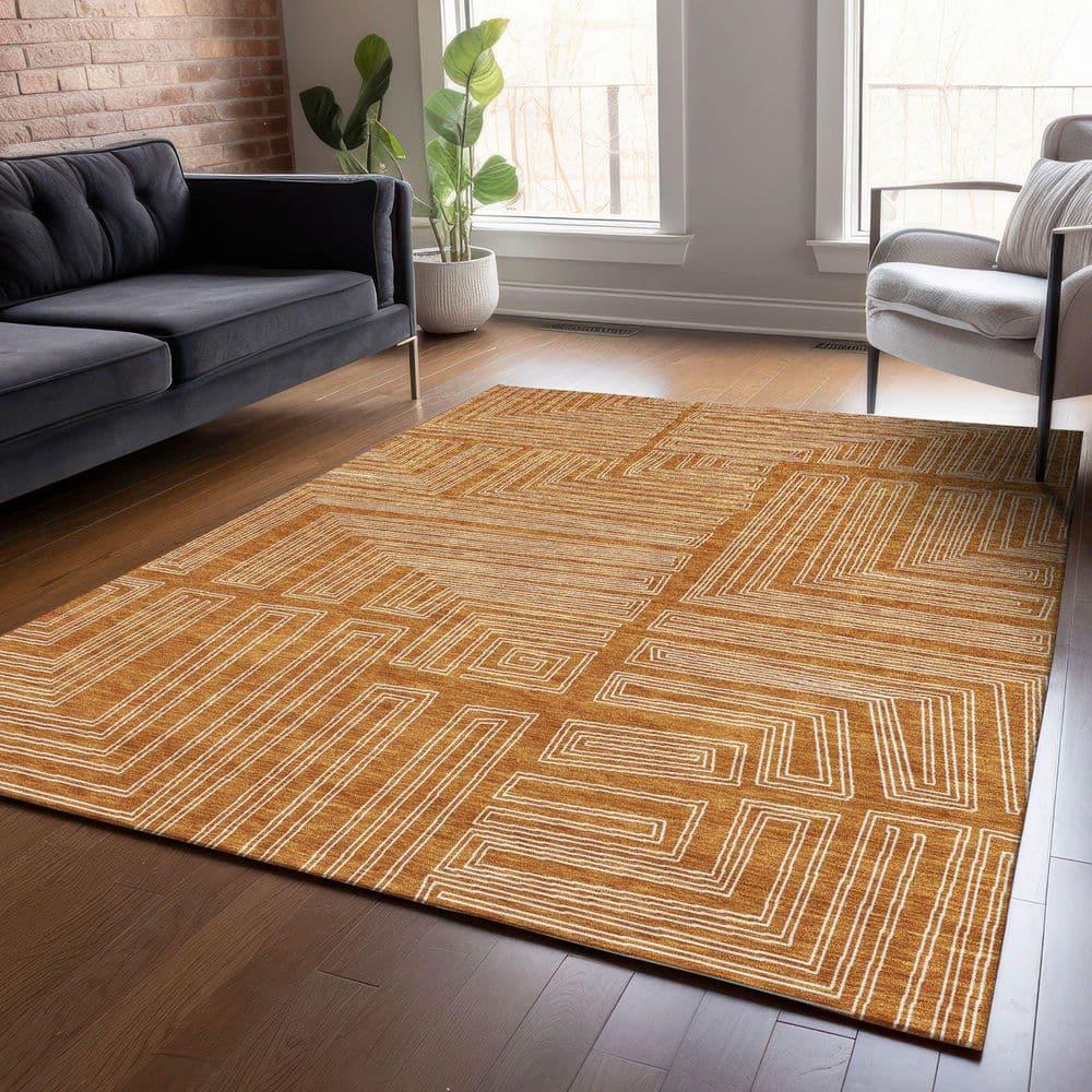 Machine Washable Indoor/Outdoor Chayden ACN1045 Paprika Rug