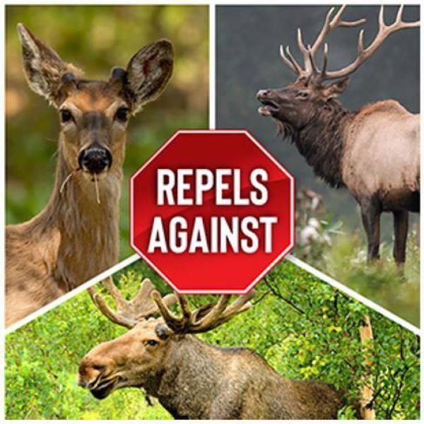 Deer Stopper II Animal Repellent, 32oz Ready-to-Spray Hose End