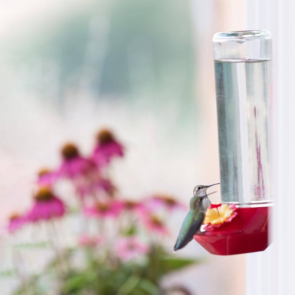Perky-Pet 455-2 Mounted 445-2 Glass Window Hummingbird Feeder, Red – 14 oz