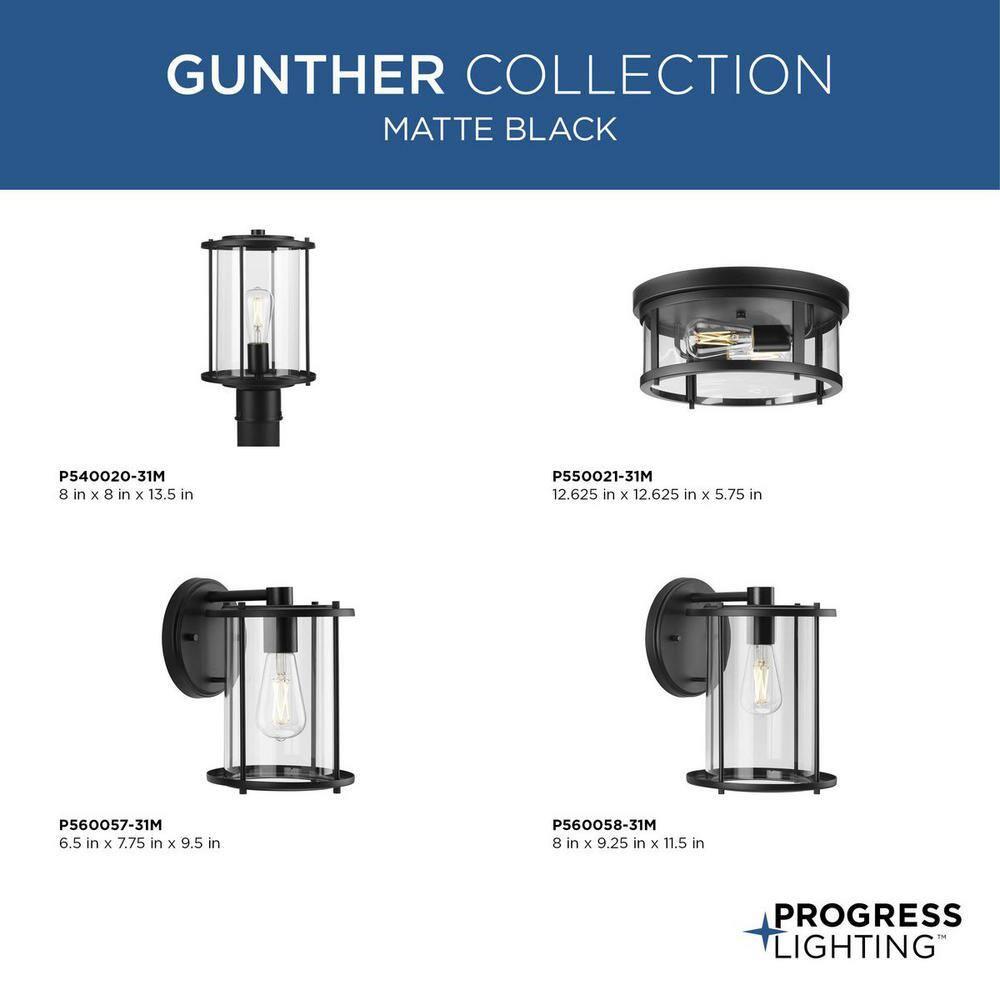 Progress Lighting Gunther Matte Black 2 - Bulb Outdoor Flush Mount Light