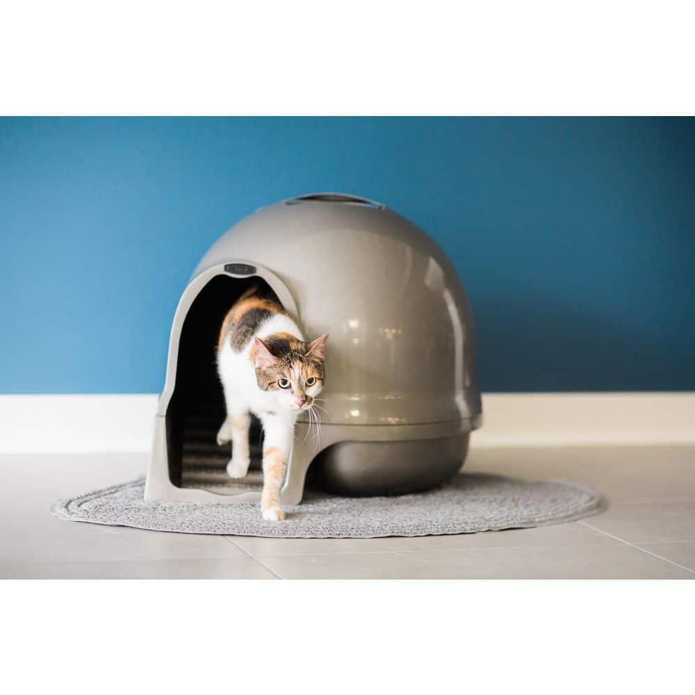 Petmate Booda Dome Clean Step Plastic Enclosed Cat Litter Box with Steps, 95 % Recycled, Titanium