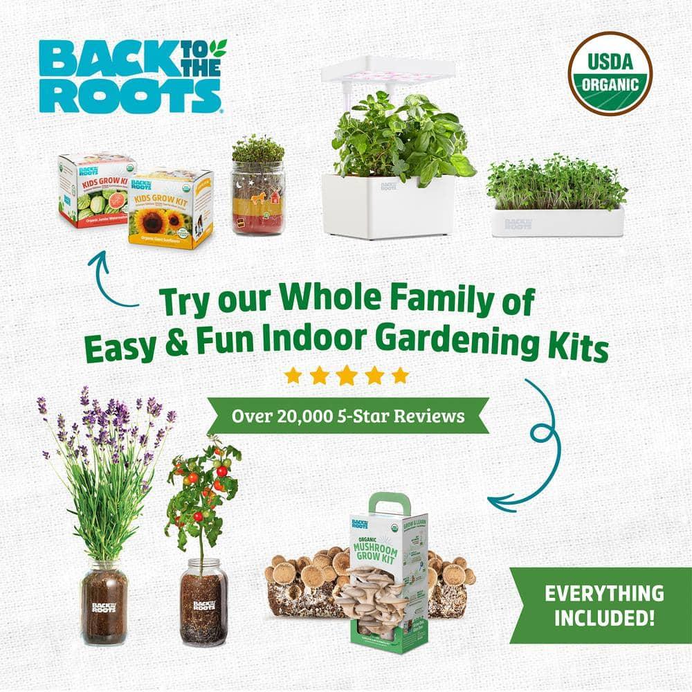 Back to the Roots Organic Lavender Grow Kit