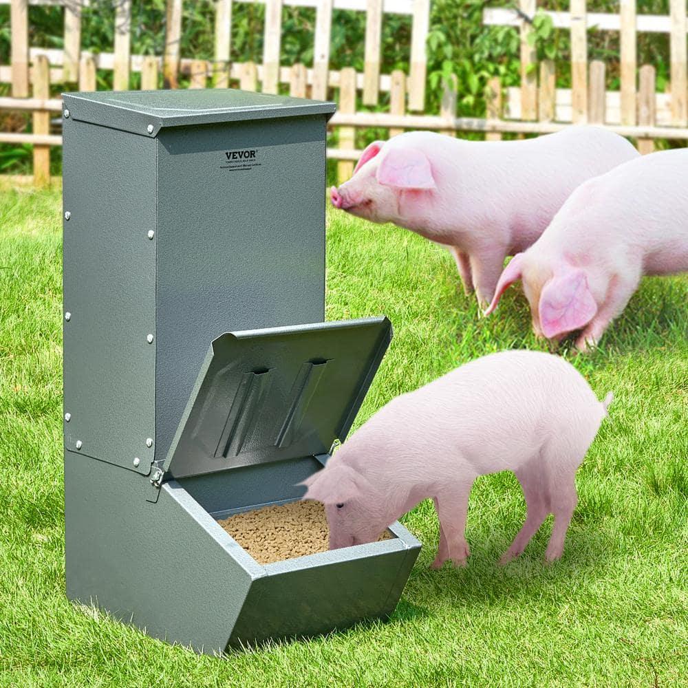 VEVOR Hog Feeder, 2.2 Bushel Capacity, Single Door Pig Feeder, Heavy Duty Steel Piglets Feeder, Multipurpose Trough Creep Feeder, Outdoor Livestock Feeder Farm Accessory for Feeding up to 5 Hogs