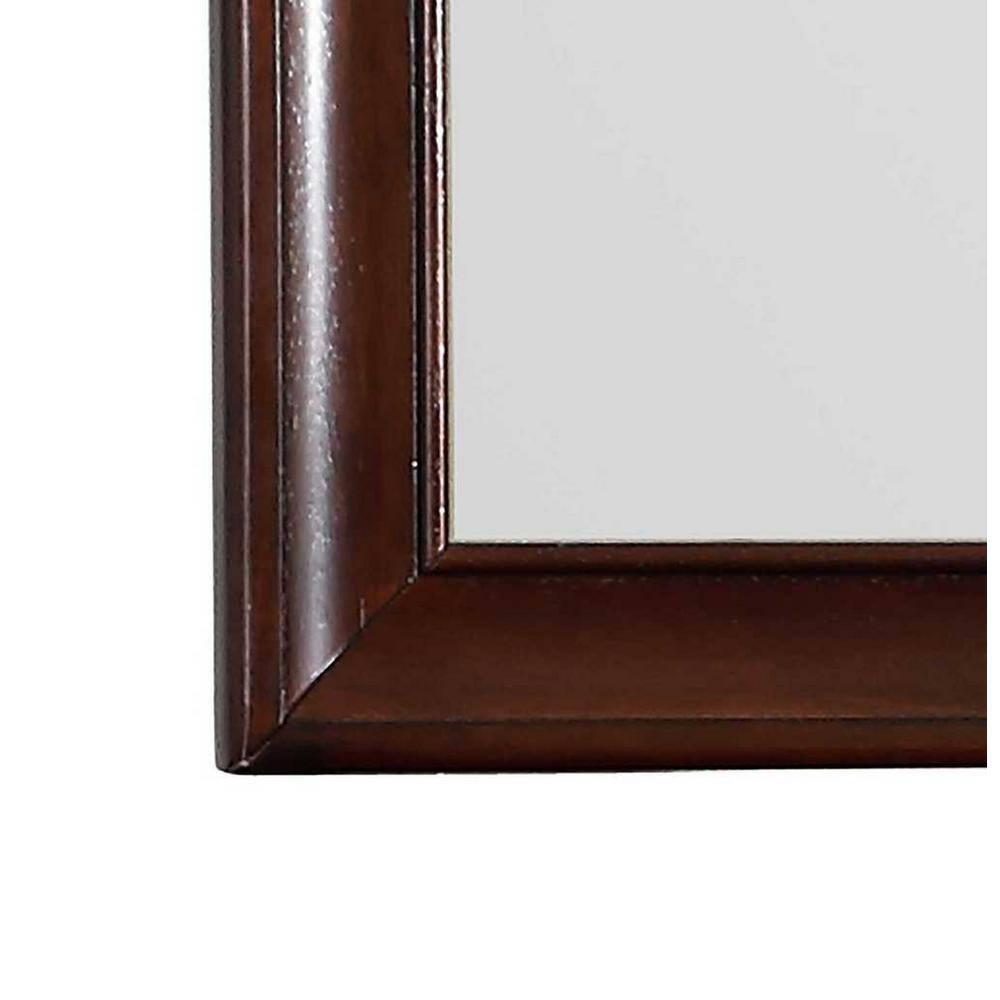 Passion Furniture LaVita 45 in. x 33 in. Modern Rectangle Framed Cappuccino Dresser Mirror