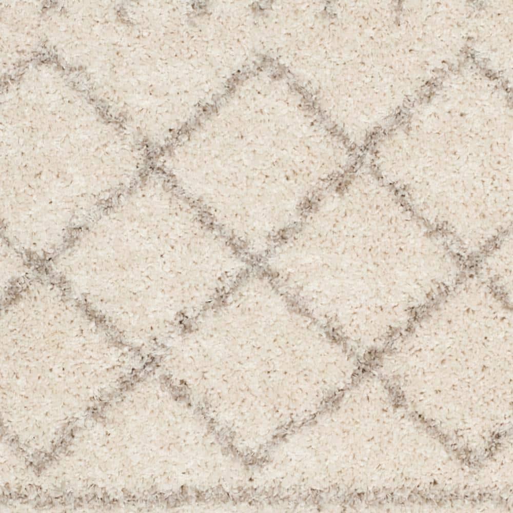 Arizona Shag ASG741 Power Loomed Indoor Area Rug - Ivory/Beige - 5'1"x7'6" - Safavieh