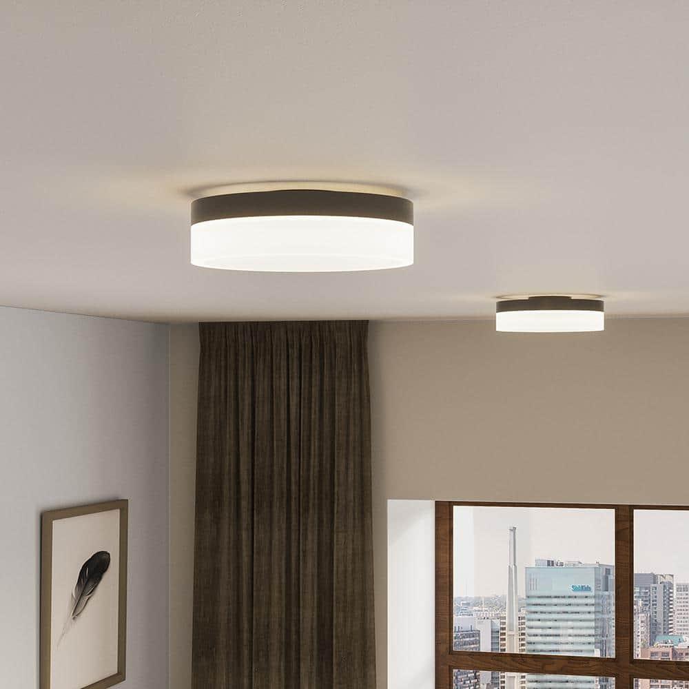 Danica Single Light Acrylic LED Flush Mount
