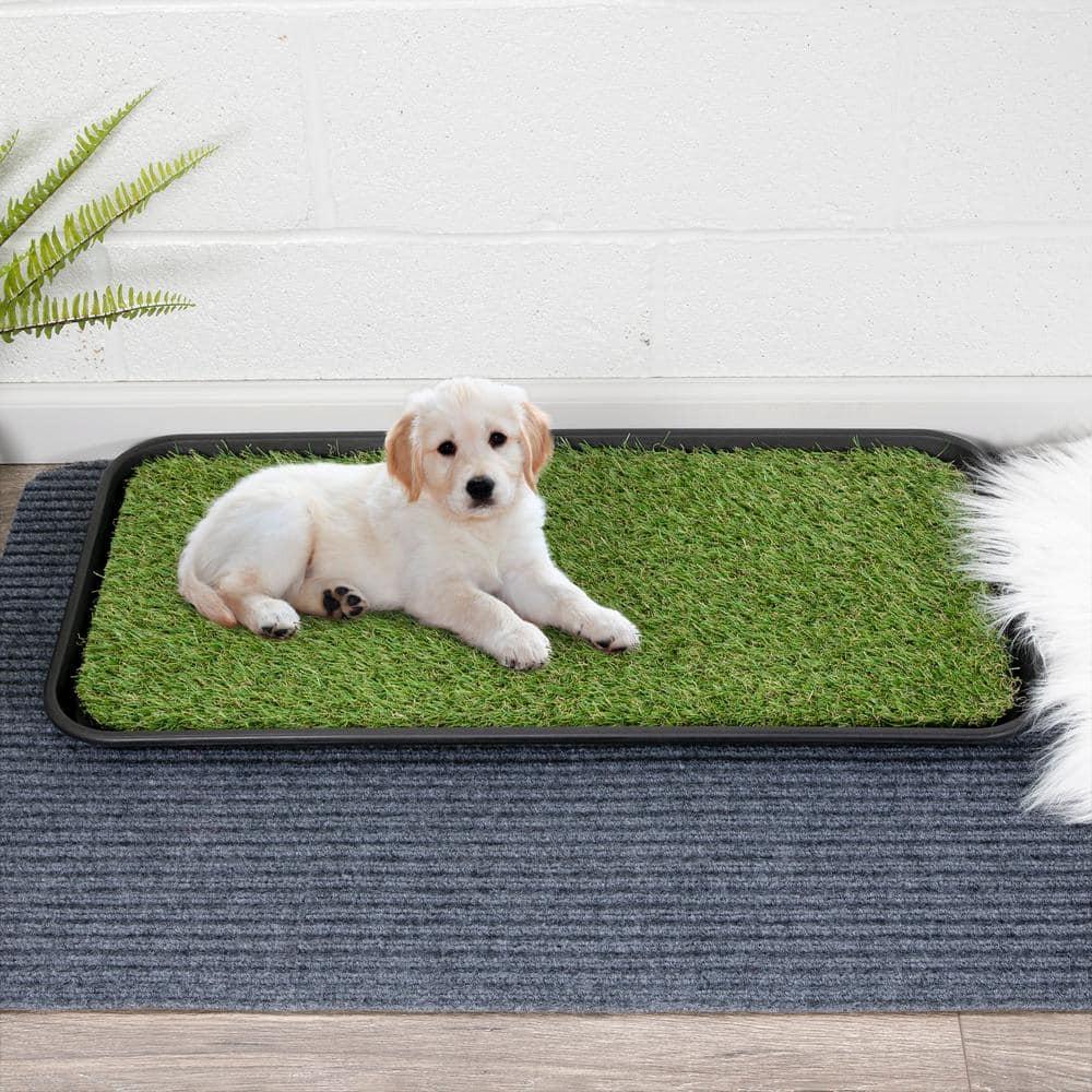 Ottomanson Pet Training Non-Slip Indoor/Outdoor Tray with Reusable Grass Pad