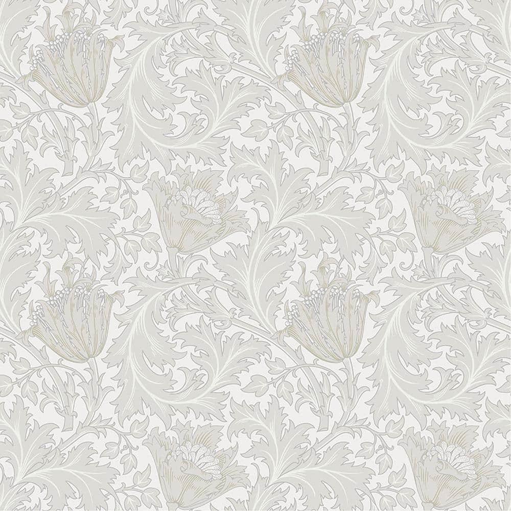 Anemone Modern Floral Wallpaper