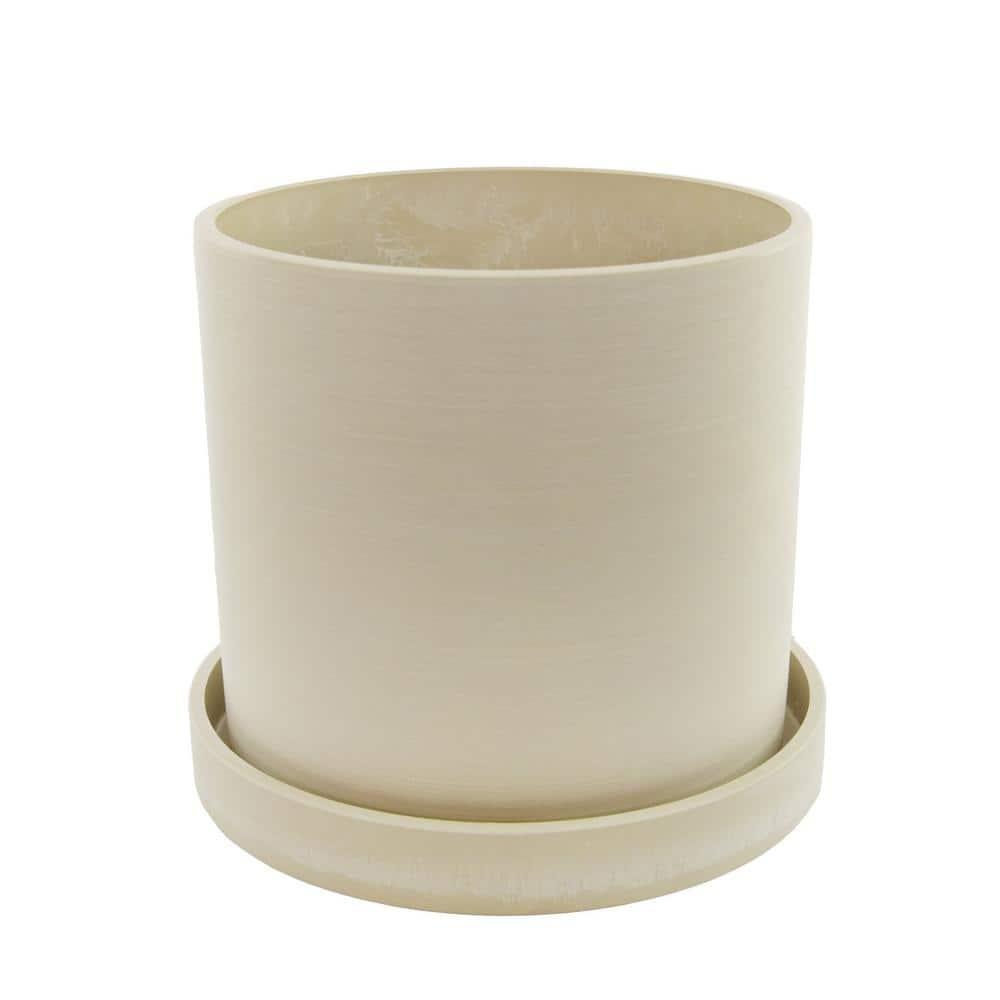 Cream Ceramic 10" Indoor Hoya Carnosa Planter