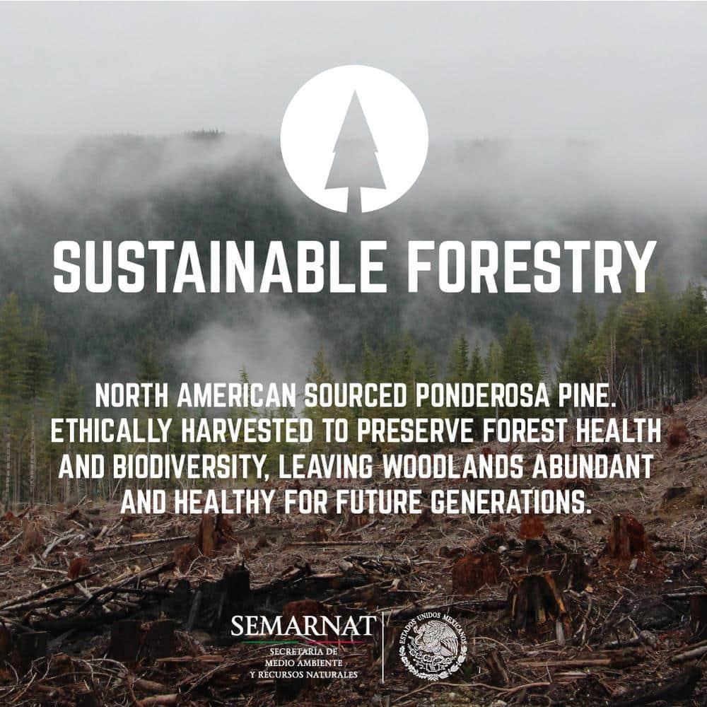 48 In. x 16 In. X 1.25 In. Live Edge Solid Console Table Wood Top