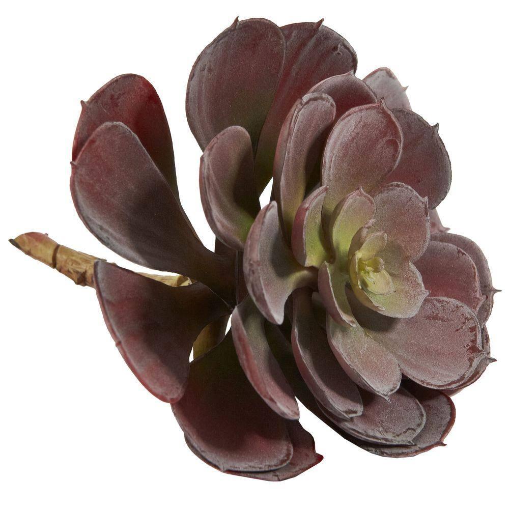 Nearly Natural 6 Echeveria Succulent - Set of 12 Burgundy