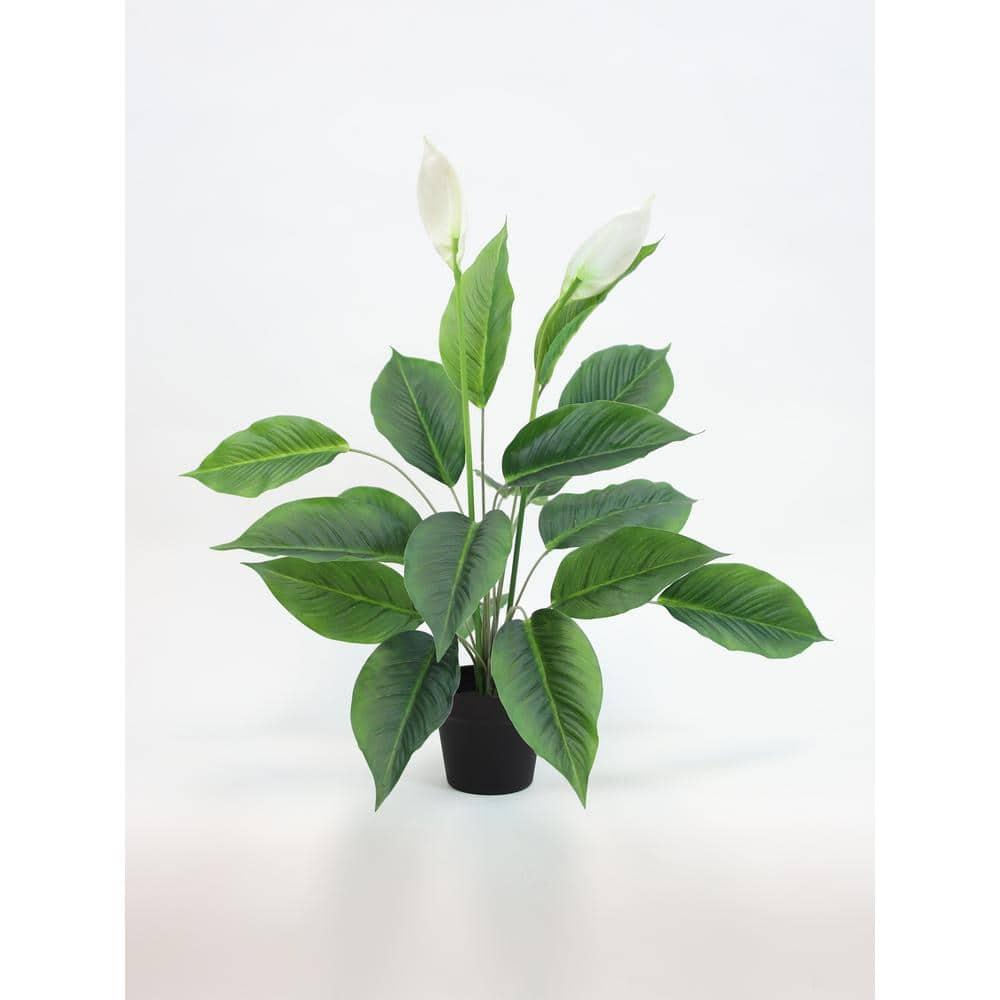 The Mod Greenhouse 29" Artificial Green Spathiphyllum Plant in a Black Matte Planter Pot