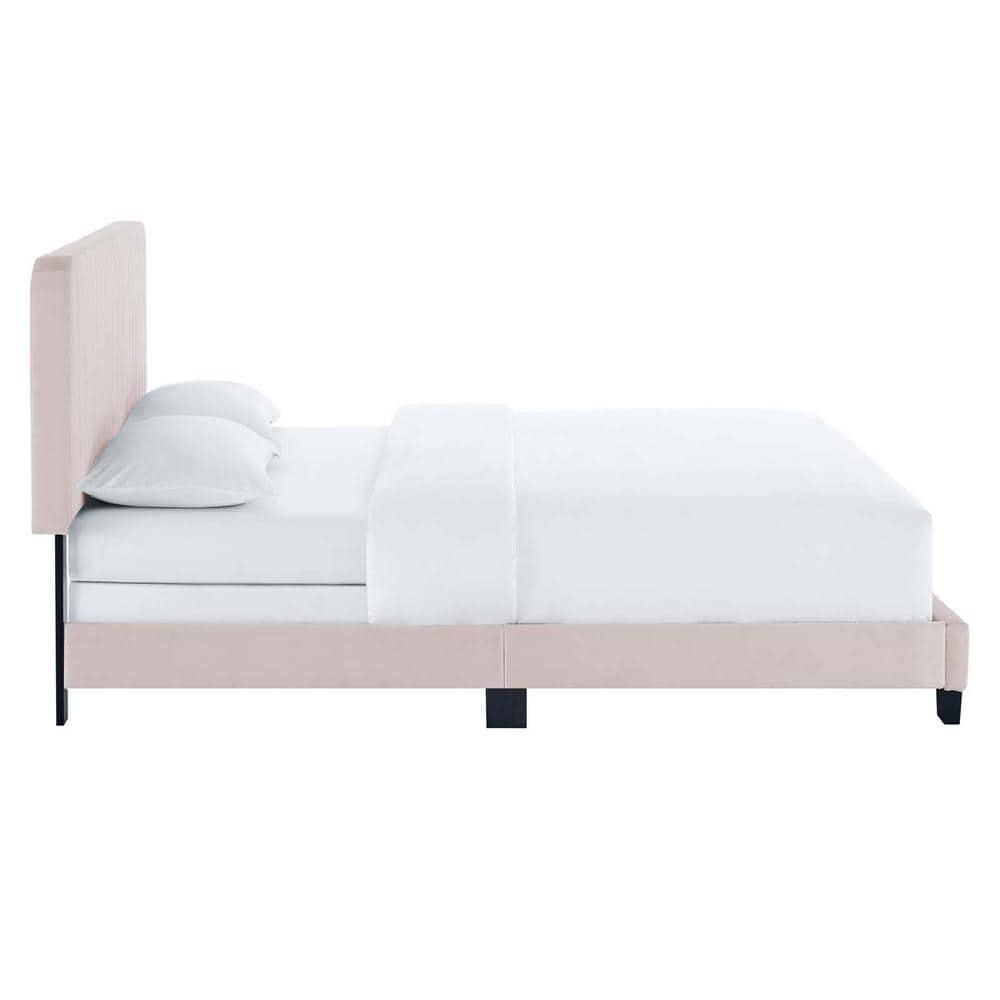 Modway Celine Channel Tufted Performance Velvet King Bed in Pink