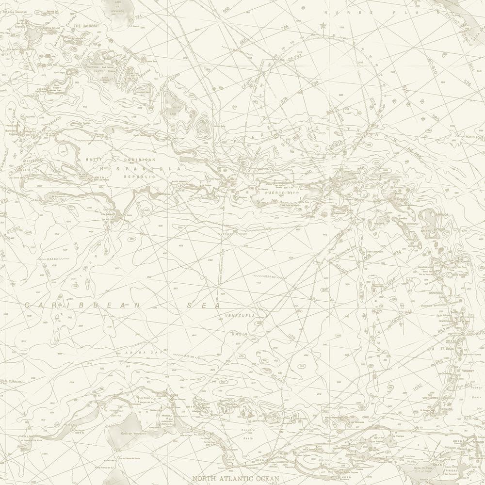 Chesapeake Charts Taupe Nautical Chart Wallpaper