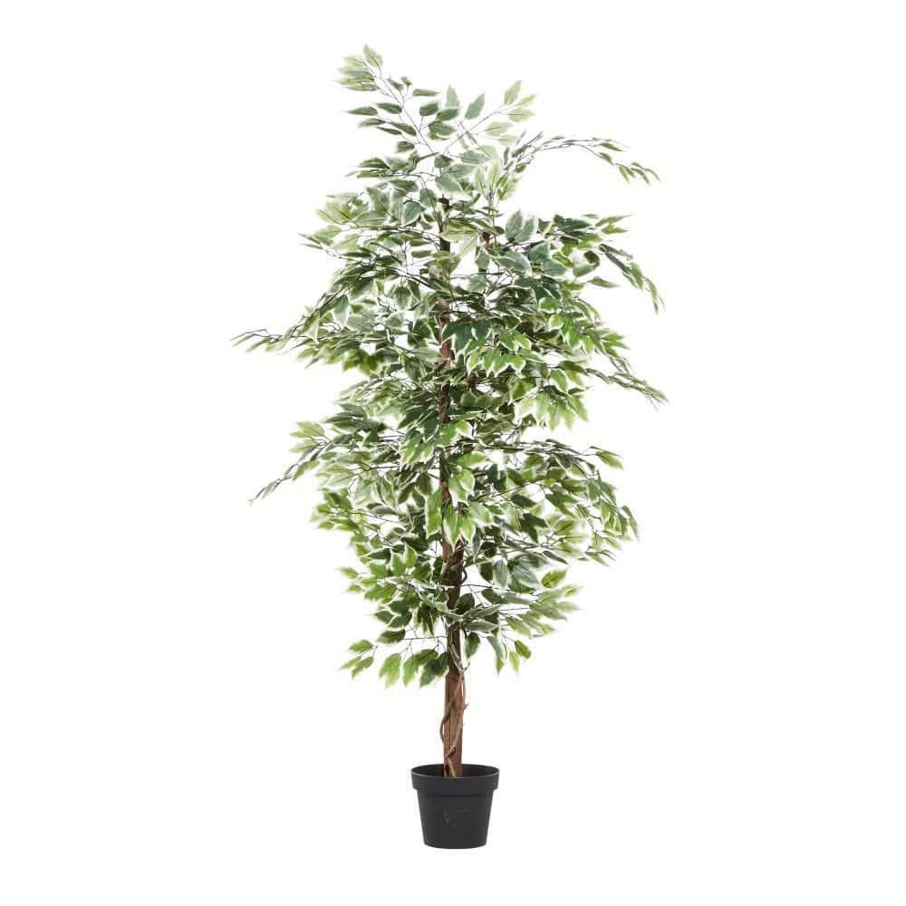 DecMode 73" Artificial Ficus Tree in Realistic Leaves and Black Plastic Pot