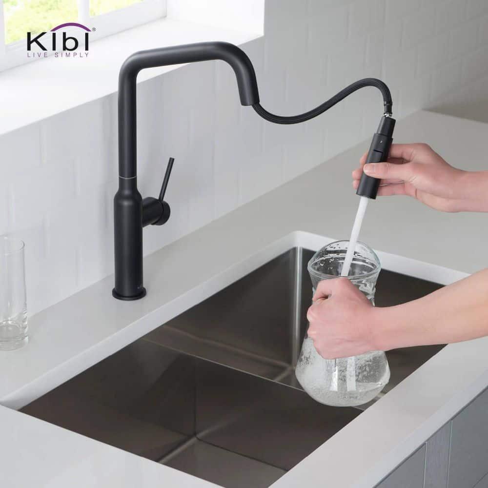 Macon Pull Down Single Handle Kitchen Faucet with Accessories