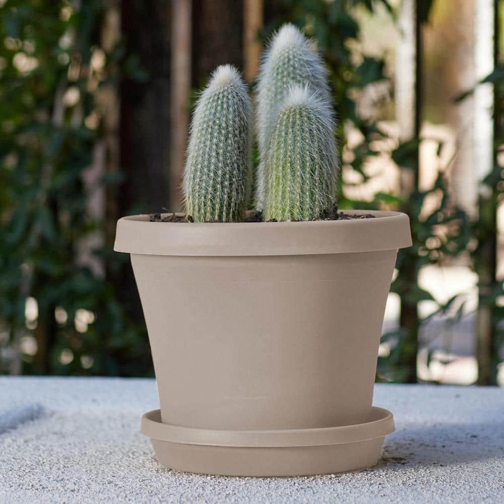 Bloem Terra Plastic Pot Planter, Pebble Stone, 10in