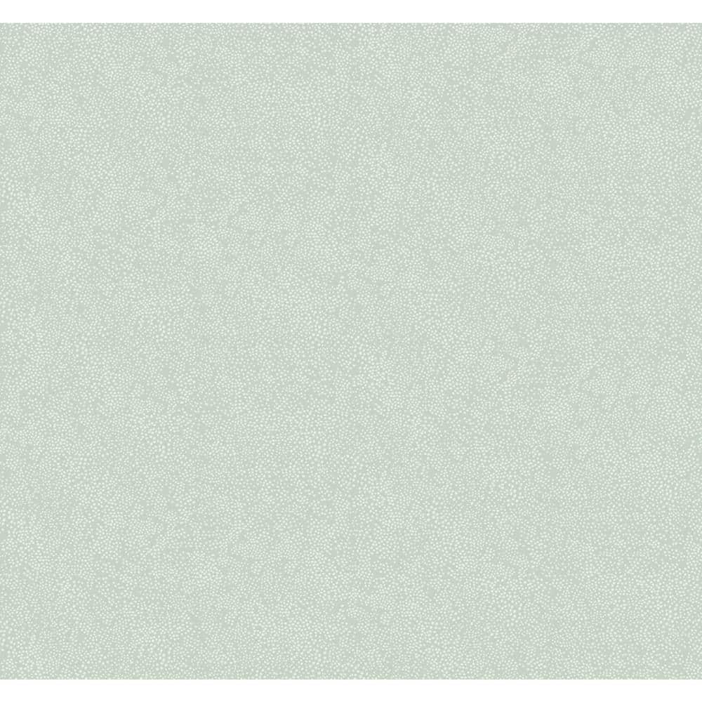 Rifle Paper Co. Champagne Dots 27' x 27" Wallpaper Roll