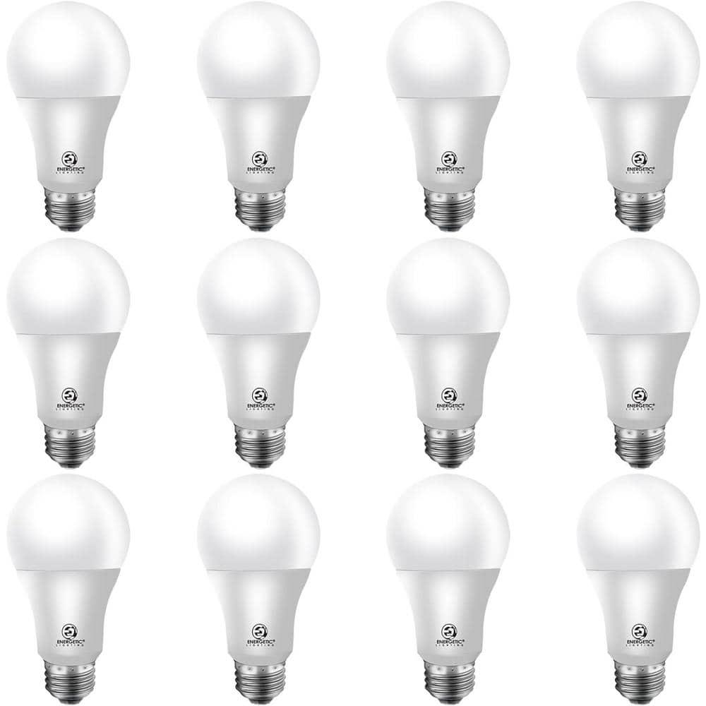 White Frosted Plastic A-Style LED Light Bulbs (12-Pack)
