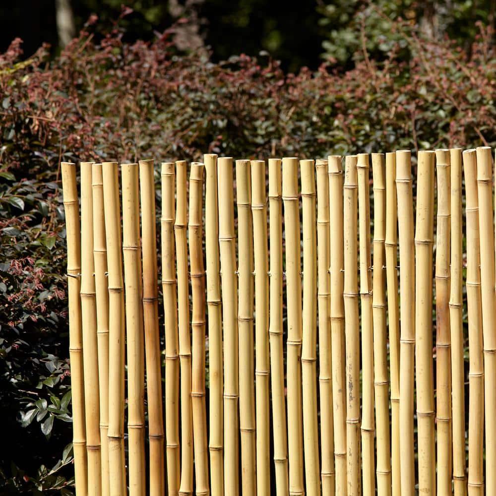 4 ft. H x 6 ft. W Natural Bamboo Fence