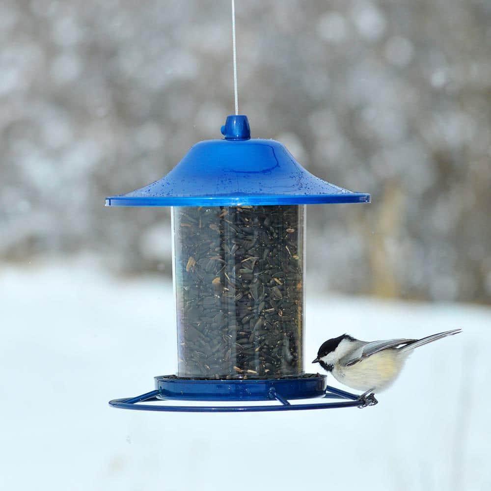 Perky-Pet Wild Bird 2 lb Metal/Plastic Panorama Bird Feeder 1 ports (Case of 2)