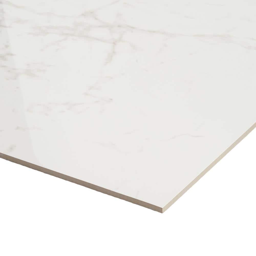 24" x 24" Polished Marble Look Porcelain Floor and Wall Tile (15.5 Sq. Ft. / Case)