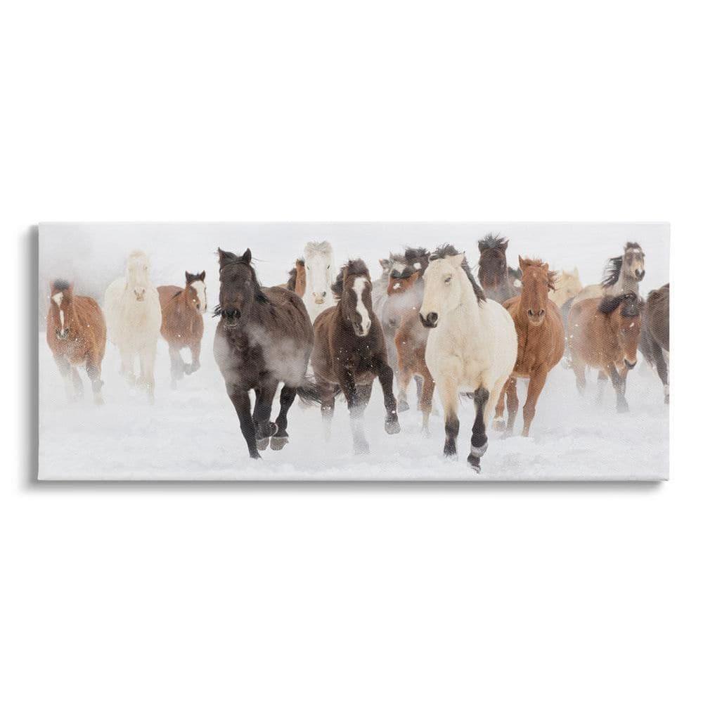 Stupell Industries Wild Horses Herd Foggy Winter Day Running Snow by Danita Delimont - Painting