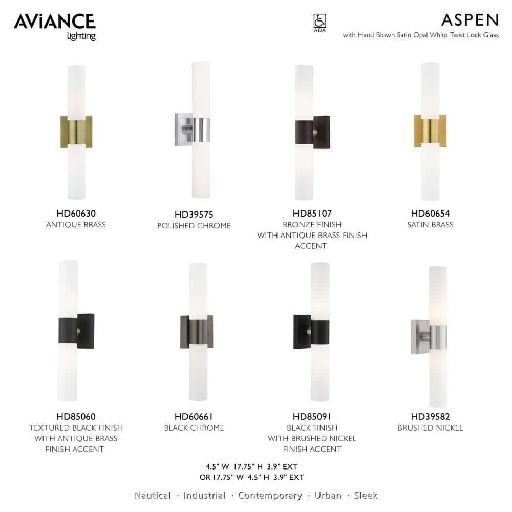 Aero 18" Black and Brass 2-Light Vanity Sconce