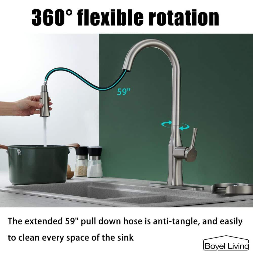 Boyel Living Pull Down Kitchen Faucet