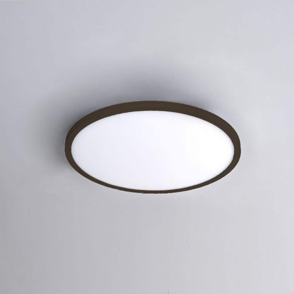 Simple Circle Dimmable LED Flush Mount Light