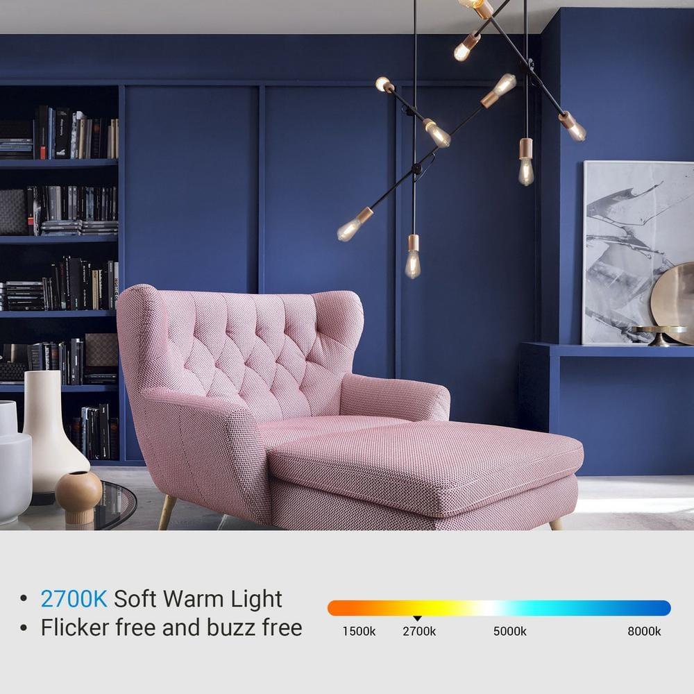 EDISHINE 4-Pack LED Edison Light Bulbs, 7W(60W Equivalent), 2700K Warm White, 800LM, E26 Base ST19 Vintage Light Bulb, Decorative LED Filament Bulbs, Non-Dimmable, UL Listed