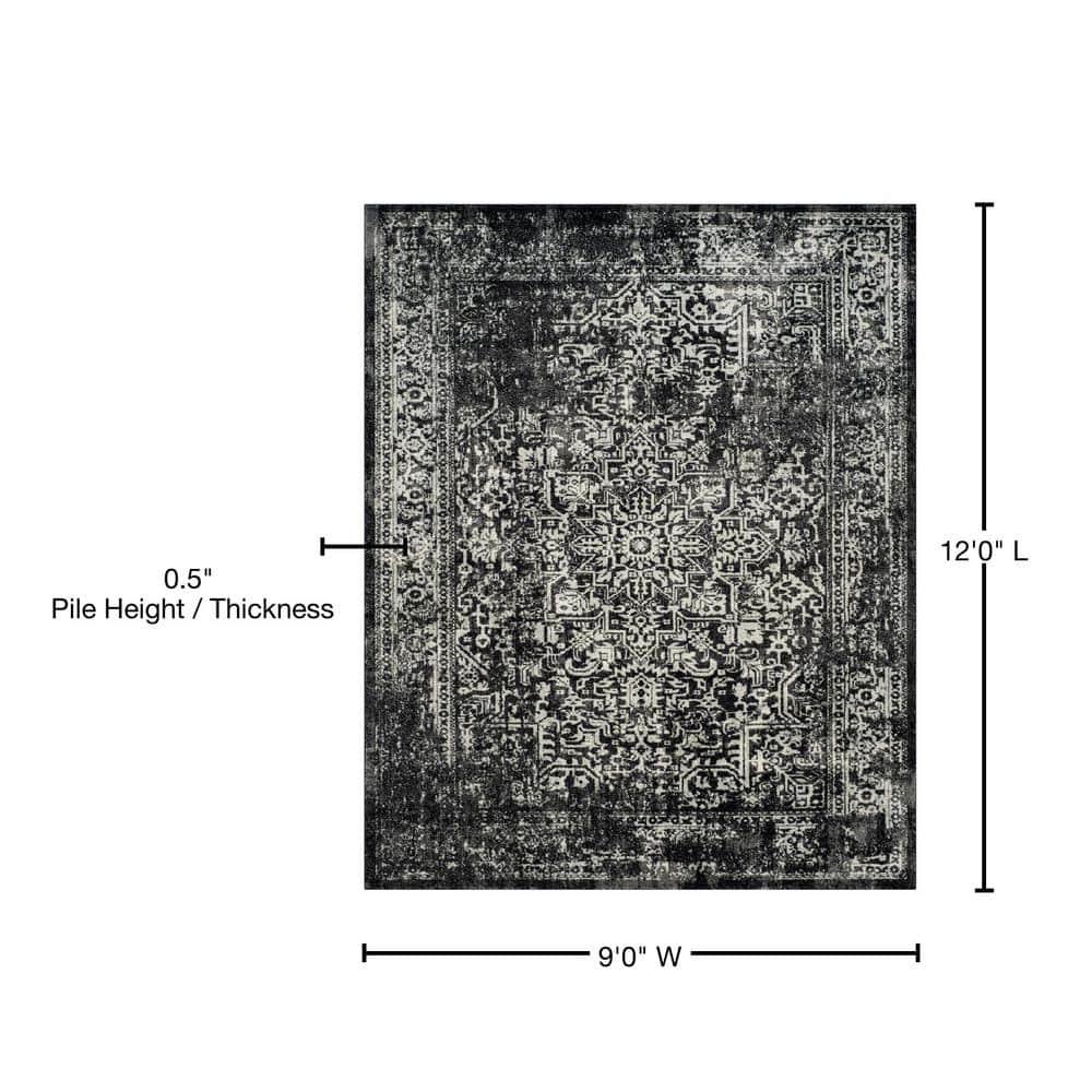 SAFAVIEH Evoke Trena Traditional Distressed Area Rug, Black/Grey, 9' x 12'