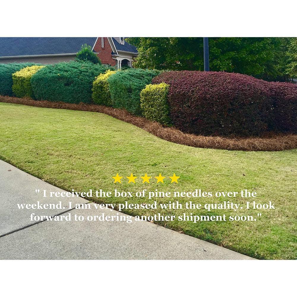 USA Pine Straw - Pine Needle Mulch - Covers 240 Sqft