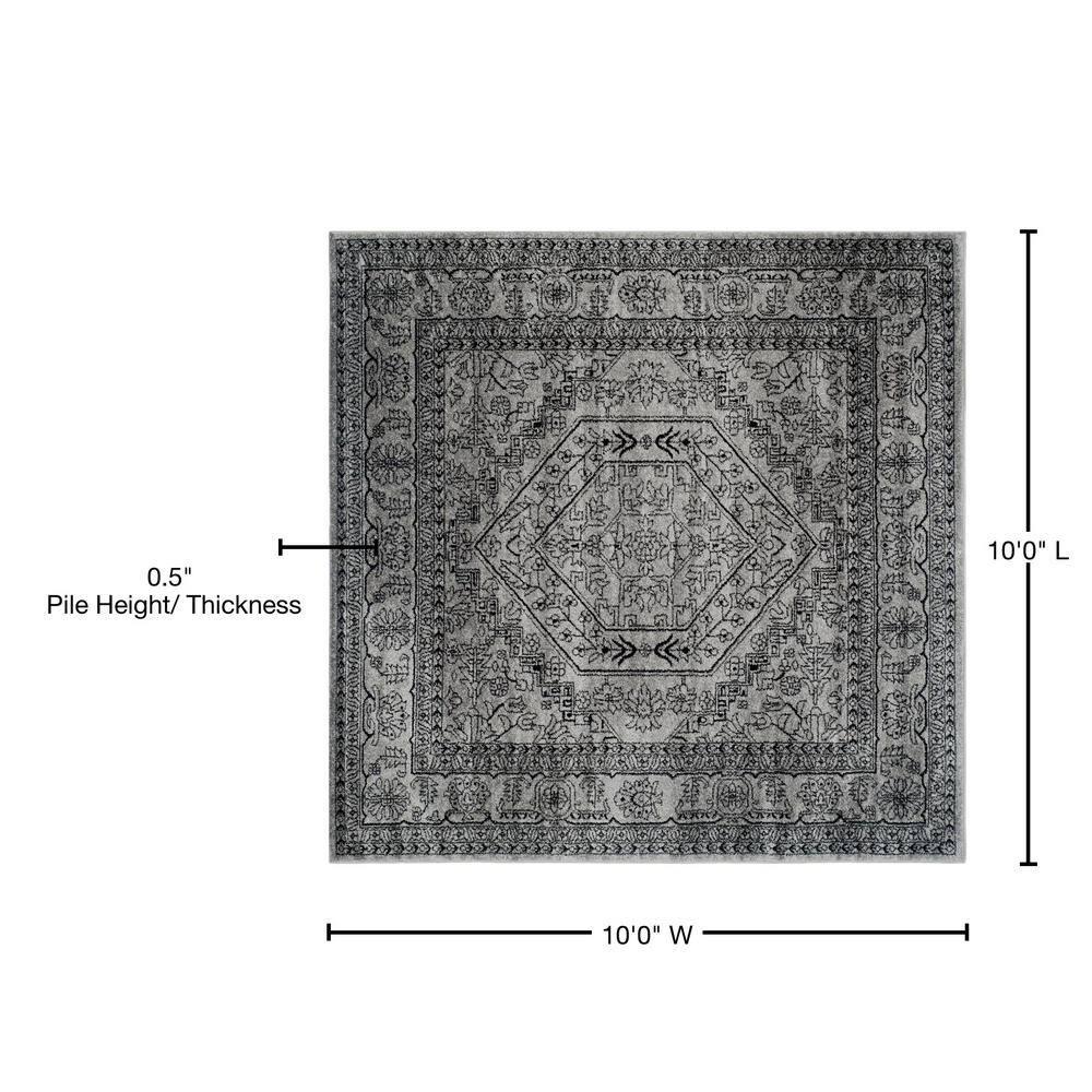 Adirondack ADR108 Power Loomed Area Rug - Silver/Black - 10'x10' - Safavieh.