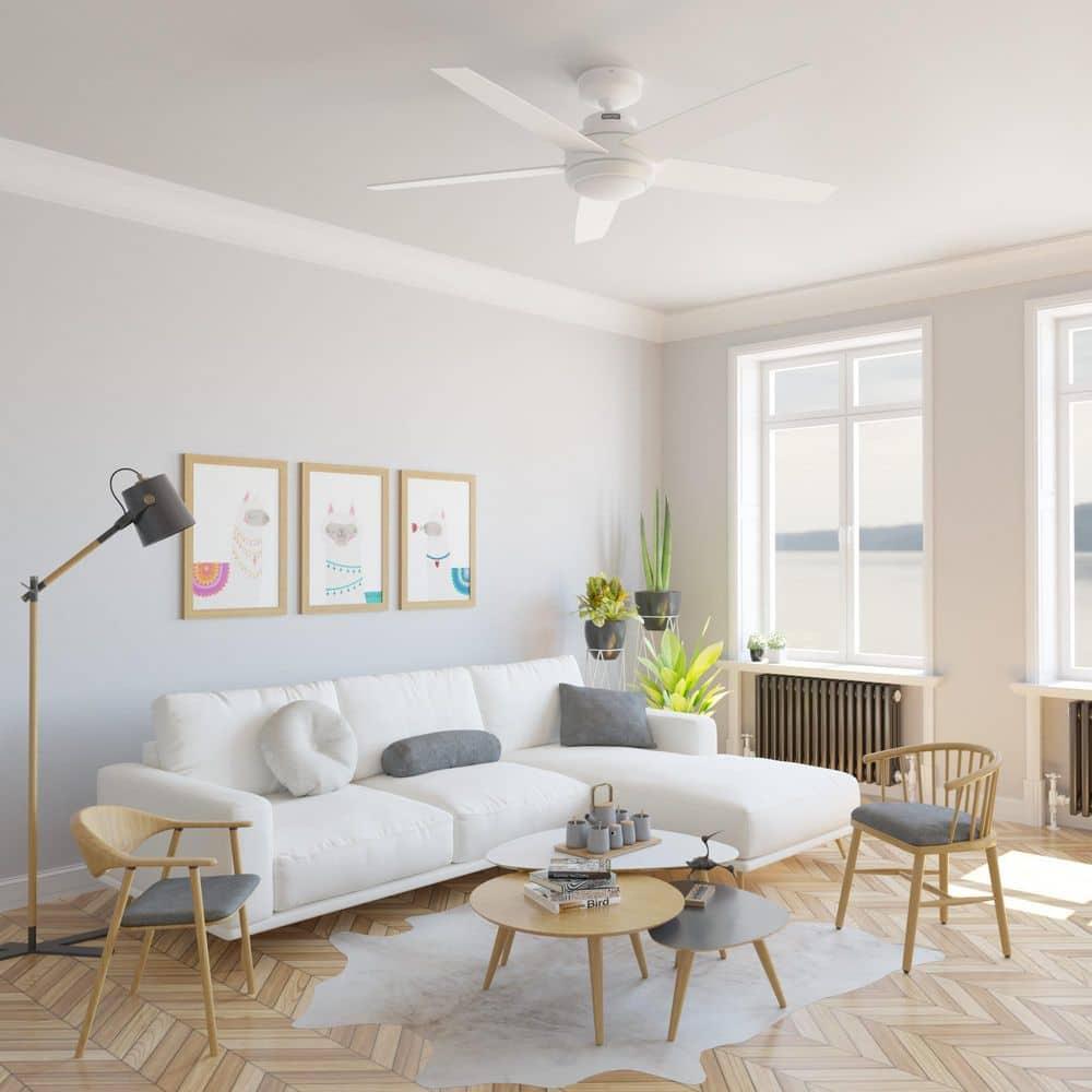 52" Zayden 5 - Blade Ceiling Fan With Lights and Remote