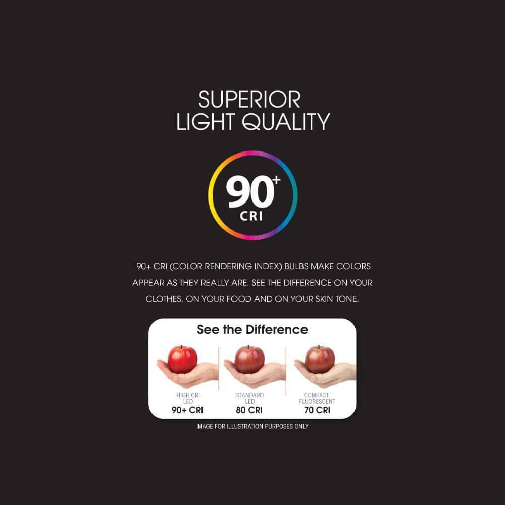 Feit Electric A19 E26 (Medium) Filament LED Bulb Daylight 100 Watt Equivalence 2 pk