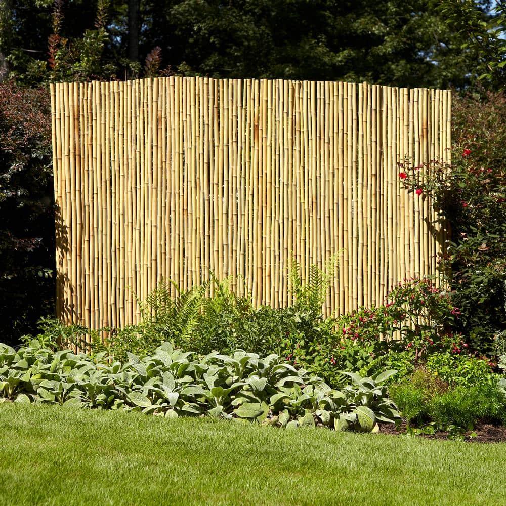 4 ft. H x 6 ft. W Natural Bamboo Fence