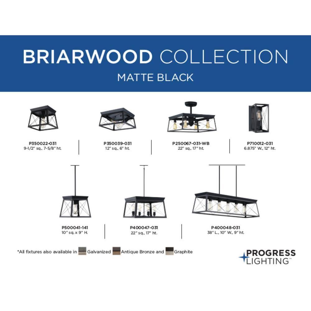 Progress Lighting Briarwood 1-Light Flush Mount, Textured Black, Faux-Painted Wood Enclosure