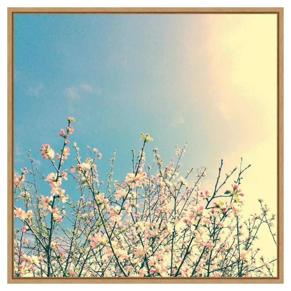 Amanti Art 30"x30" Springing Pink I by Olivia Joy Framed Canvas Wall Art Print