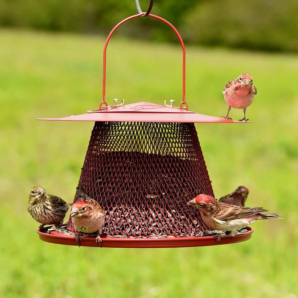 Perky-Pet Red Cardinal Wild Bird Feeder - 2.5 lb Capacity