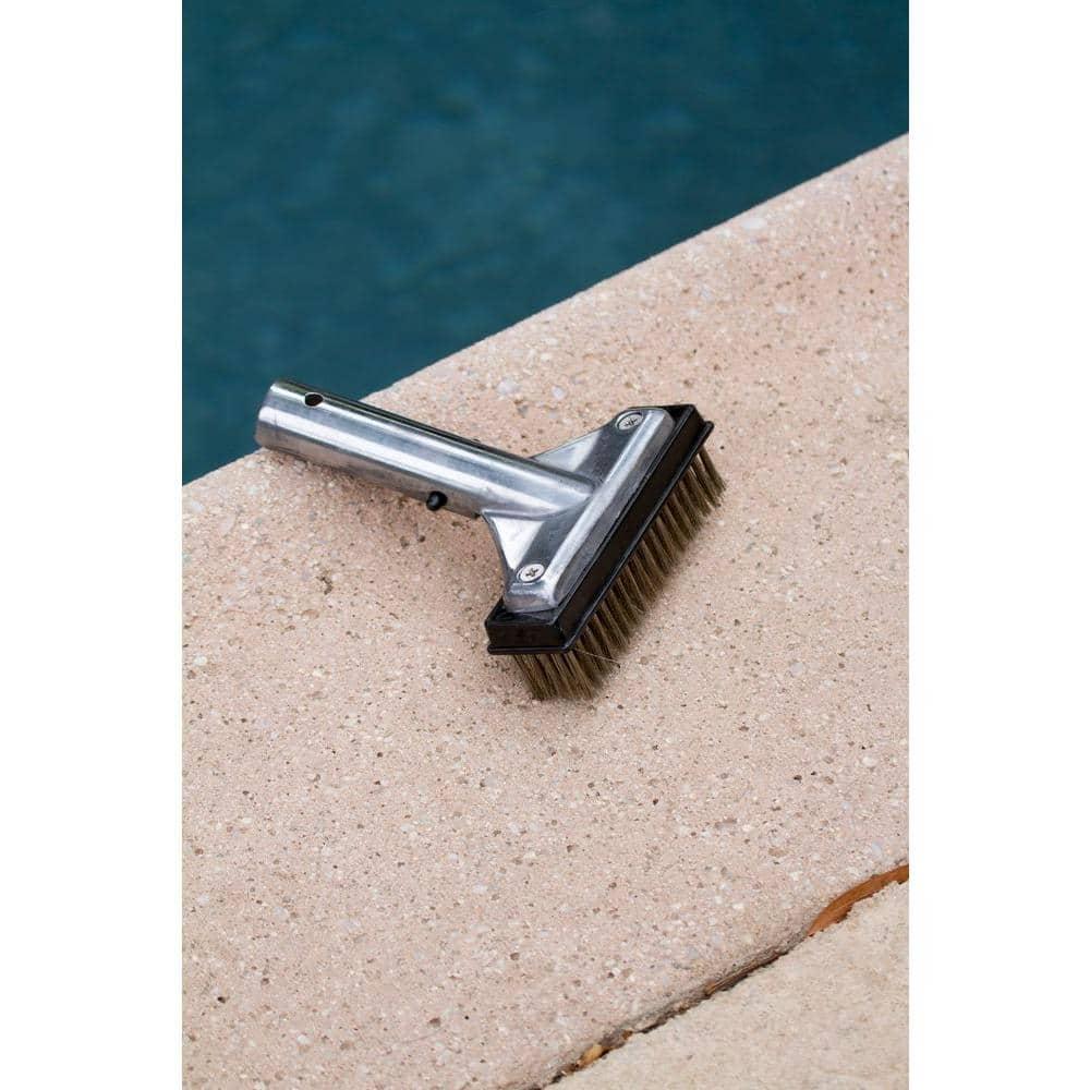 HDX 60278 5 in. Stainless Steel Bristle Swimming Pool Brush for Algae Removal