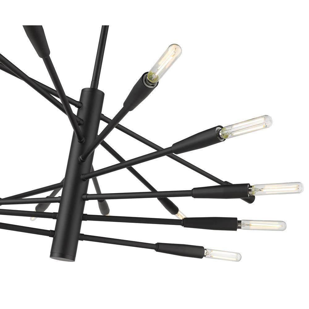 Z-Lite Ascension 16 - Light Chandelier in  Matte Black
