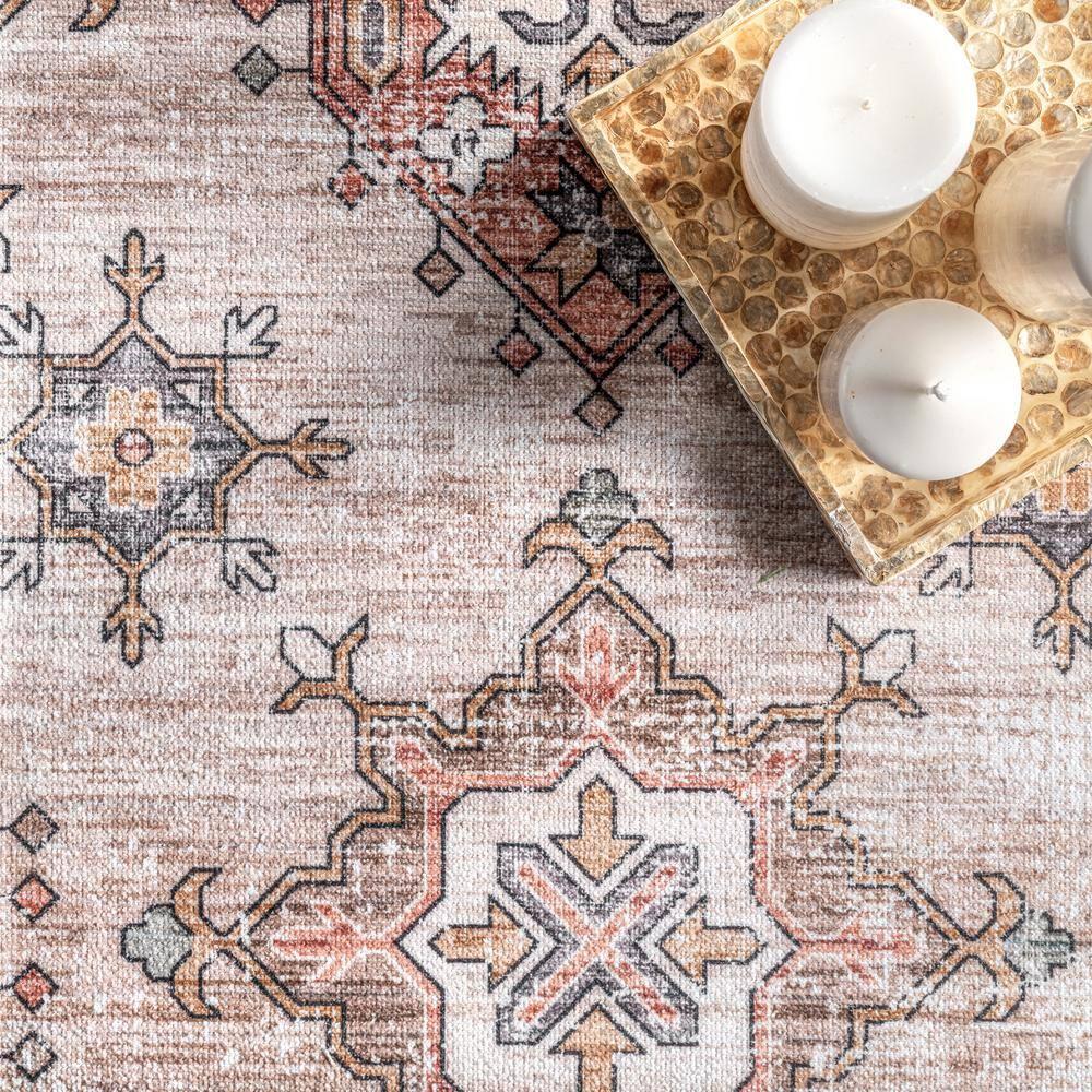 Nuloom Finley Pet Friendly Machine Washable Vintage Distressed Area Rug, 4' x 6', Beige