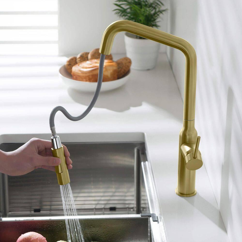Macon Pull Down Single Handle Kitchen Faucet with Accessories