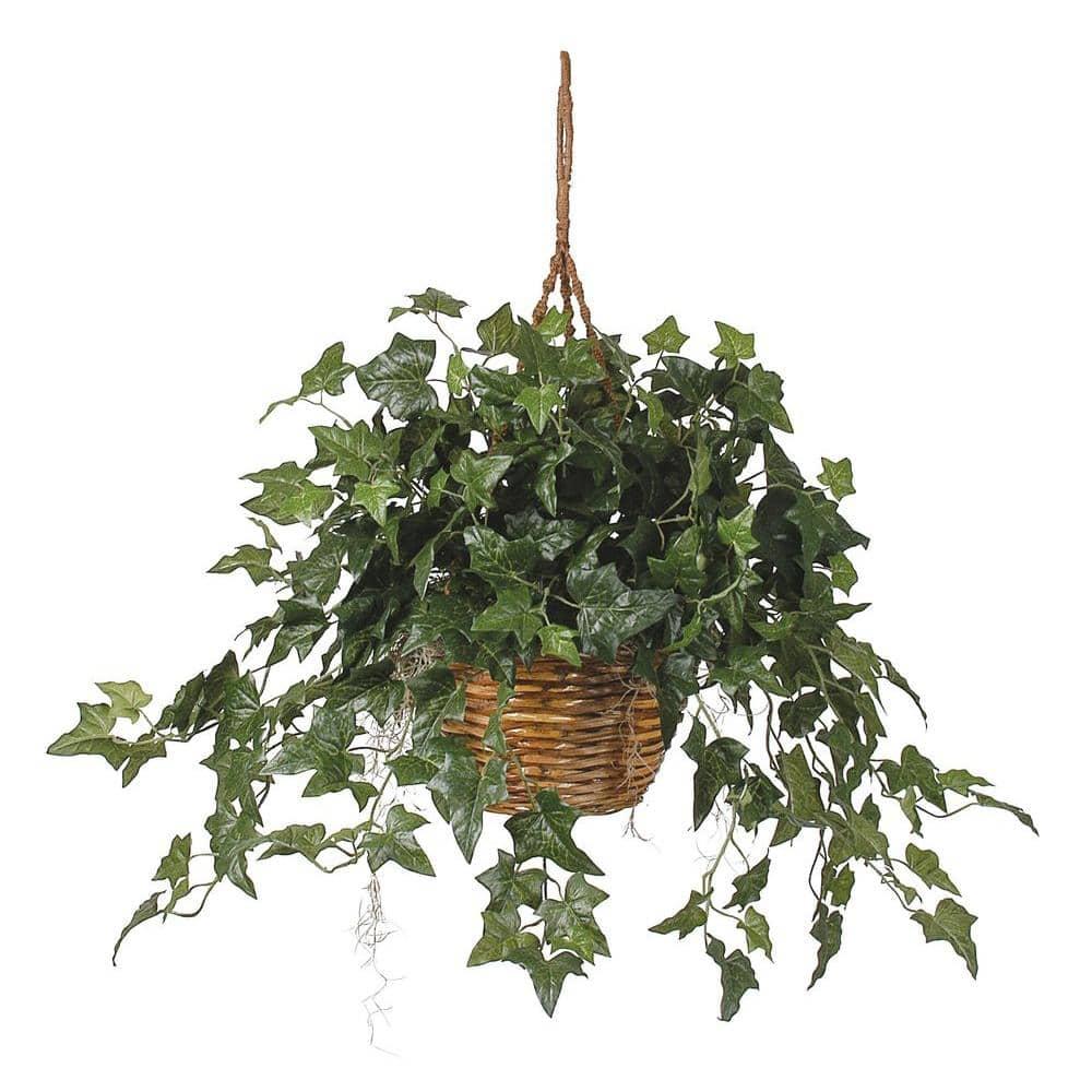 Gracie Oaks Nearly Natural English Ivy Hanging Basket