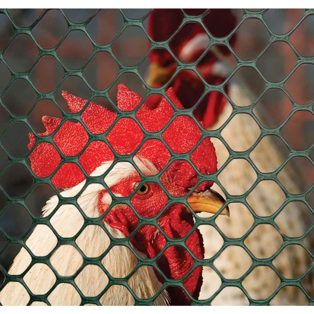 Boen Plastic Hex Chicken Wire Mesh Temporary Fence Roll 2' x 25' with Rust Resistant