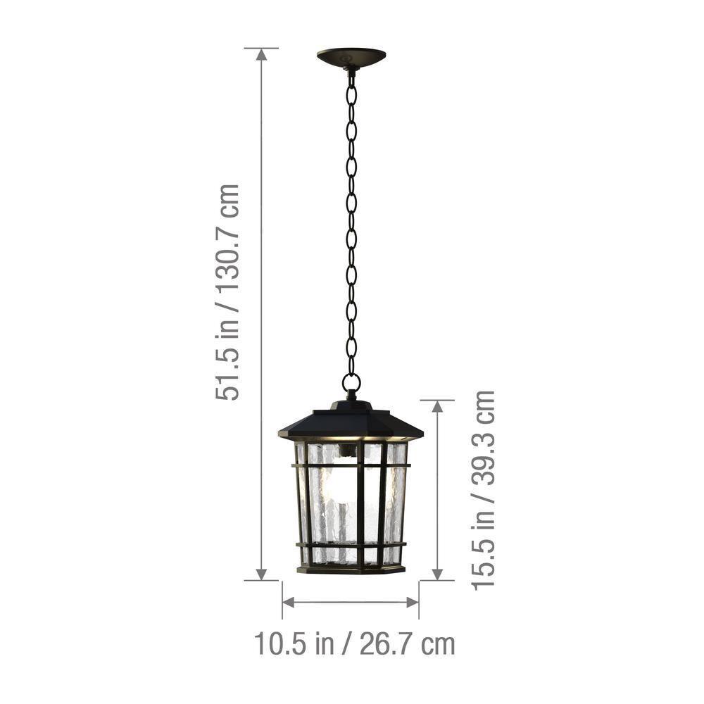 Williams 1- Light Black 14" H Glass Outdoor Hanging Lantern (Bulb Included)