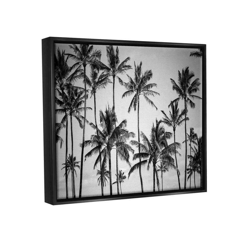 Stupell Industries Palm Trees Skyline Black and White Photography Black Floater Framed Canvas Wall Art, 16 x 20