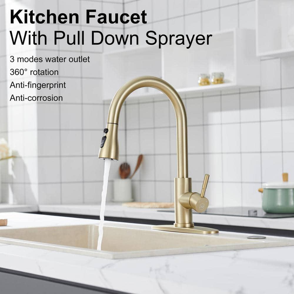 GAGALIFE Single Handle Pull Down Sprayer Kitchen Faucet High Arc Stainless Steel Faucet with 3-Function Sprayer JJL-CL-PT-SDP-G
