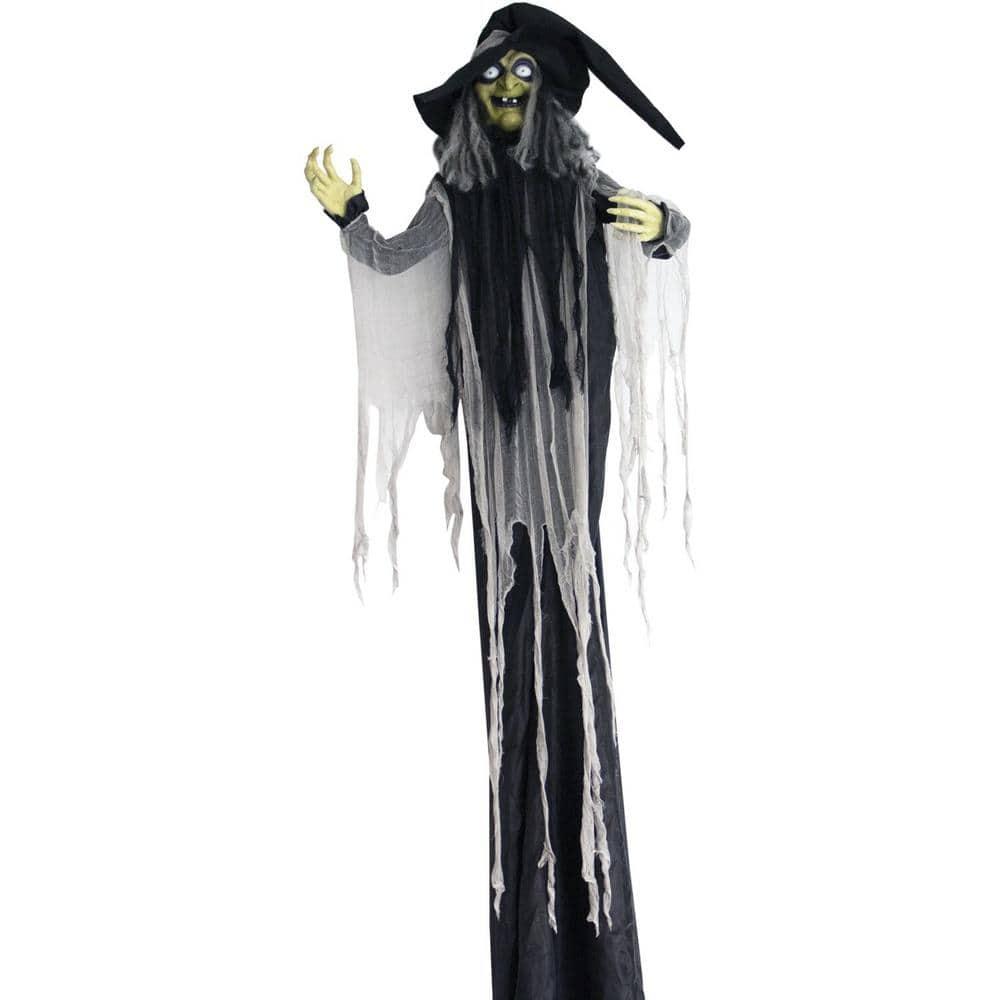 Haunted Hill Farm 9.5-Ft. Animatronic Witch, Indoor or Covered Outdoor Halloween Decoration, Light-up White Eyes, HHWITCH-16FLSA